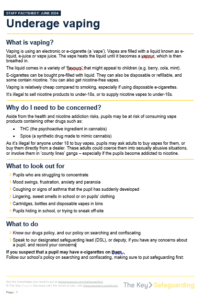 Underage Vaping Factsheet