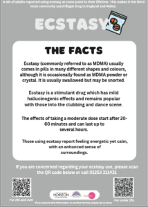 Ecstasy - The Facts Poster