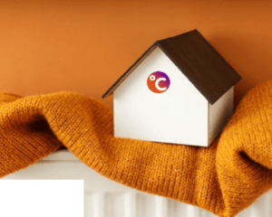 Cosy Home sat on a scarf