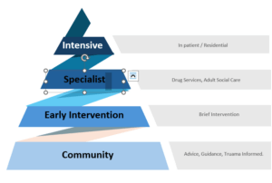 Models of Care Service Frameworks