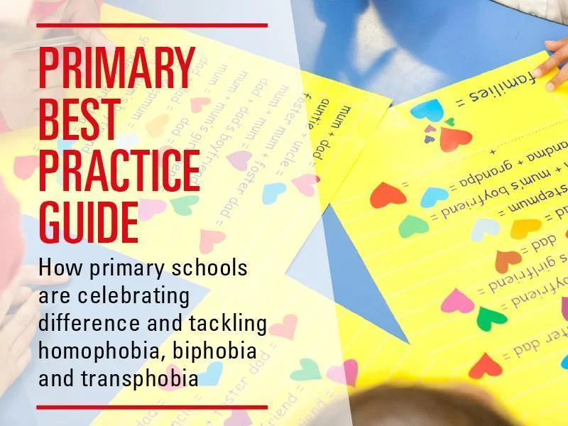 Stonewall Practice guide infographic